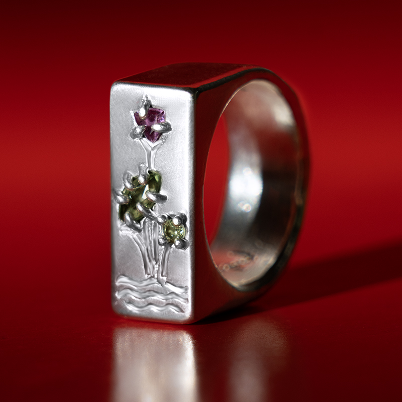 hexxin-ring